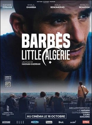 Barbs, little Algrie