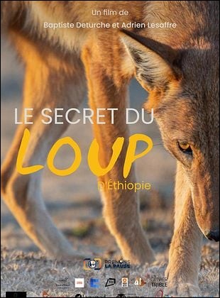 Le Secret du Loup dthiopie