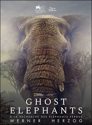 Ghost Elephants