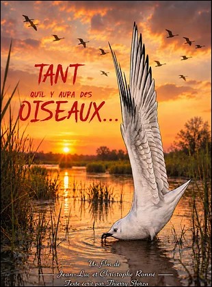 Tant qu'il y aura des oiseaux