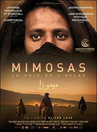 Mimosas, la voie de l’Atlas
