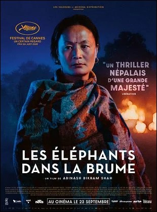 Les �l�phants dans la brume